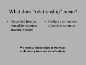 What Does a Relationship Mean