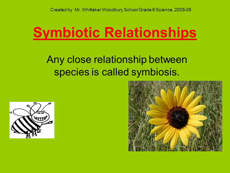 What is Symbiotic Relationship 9687