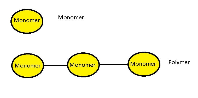 What is the Relationship between a Polymer And a Monomer 9715