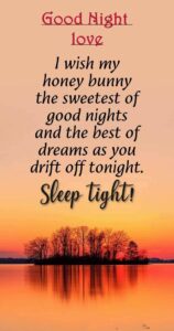 Good Night Relationship Quotes