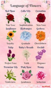 What Do Flowers Mean in a Relationship