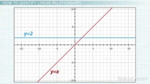 What Does a Linear Relationship Mean