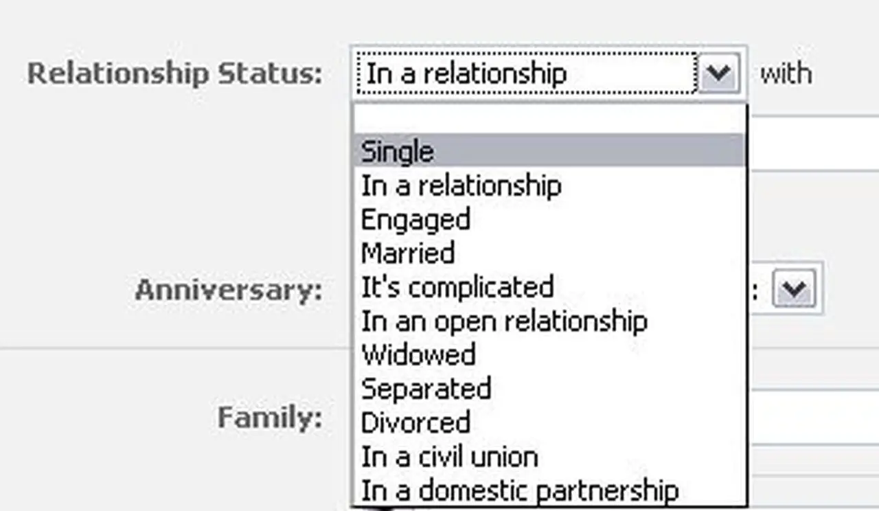 What Does the Relationship Status in a Domestic Partnership Mean 11616