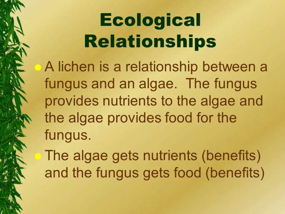 What is Ecological Relationship 11366