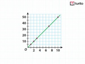 What is a Proportional Relationship on a Graph
