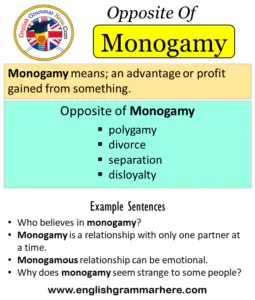 What is the Meaning of Monogamous Relationship