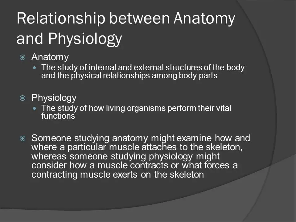 What is the Relationship between Anatomy And Physiology 12374
