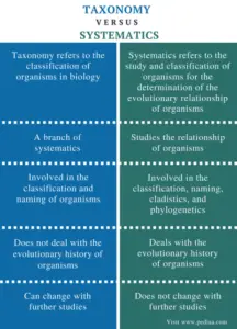 What is the Relationship between Systematics And Taxonomy