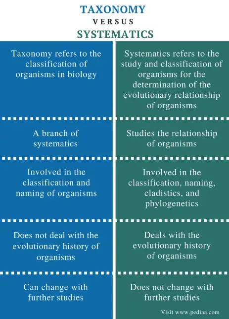 What is the Relationship between Systematics And Taxonomy 12398