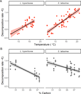 What is the Relationship between Temperature And Kelp Productivity