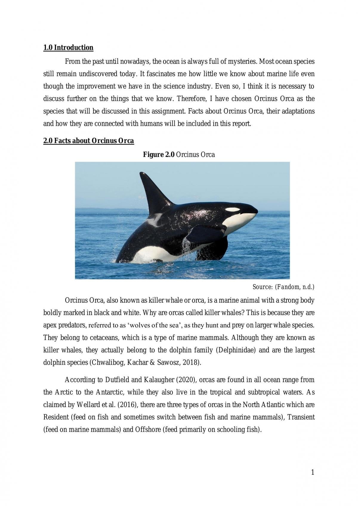 What Is The Relationship Between Temperature And Orca Survival