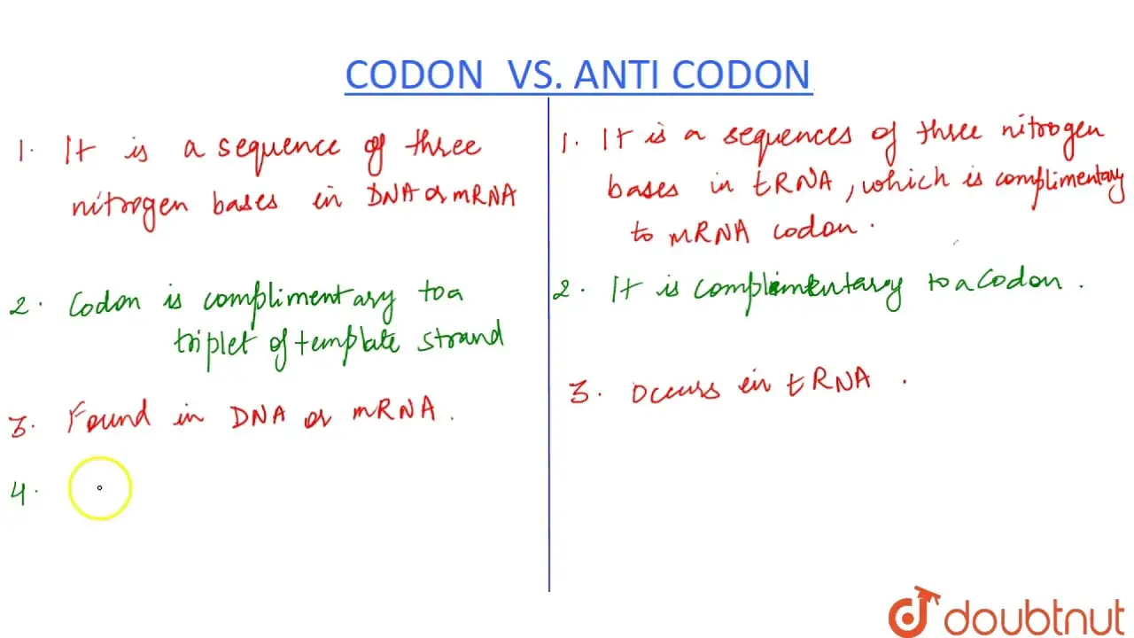 What is the Relationship between a Codon And an Anticodon 12220