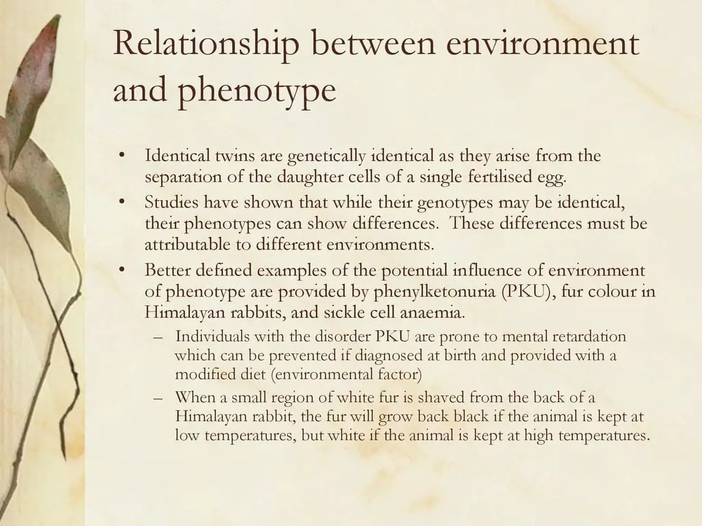 What is the Relationship between the Environment And Phenotype 12152