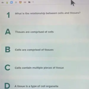 What is the Relationship between Cells And Tissues