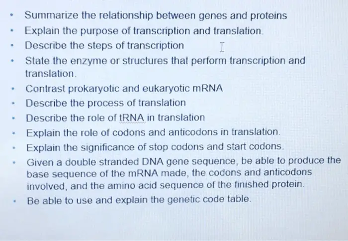 What is the Relationship between Genes And Proteins 11120