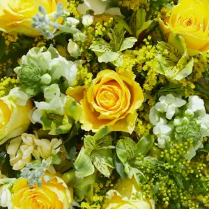 What Do Yellow Roses Mean in a Relationship