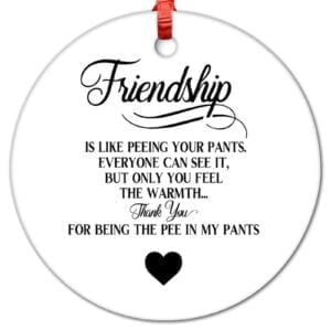 Friendship is Like Peeing Your Pants Ornament