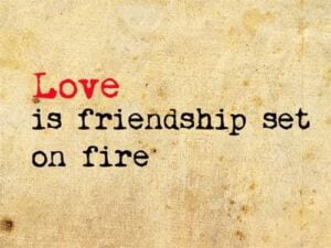 Love is a Friendship Set on Fire