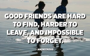 True Friendship is Hard to Find