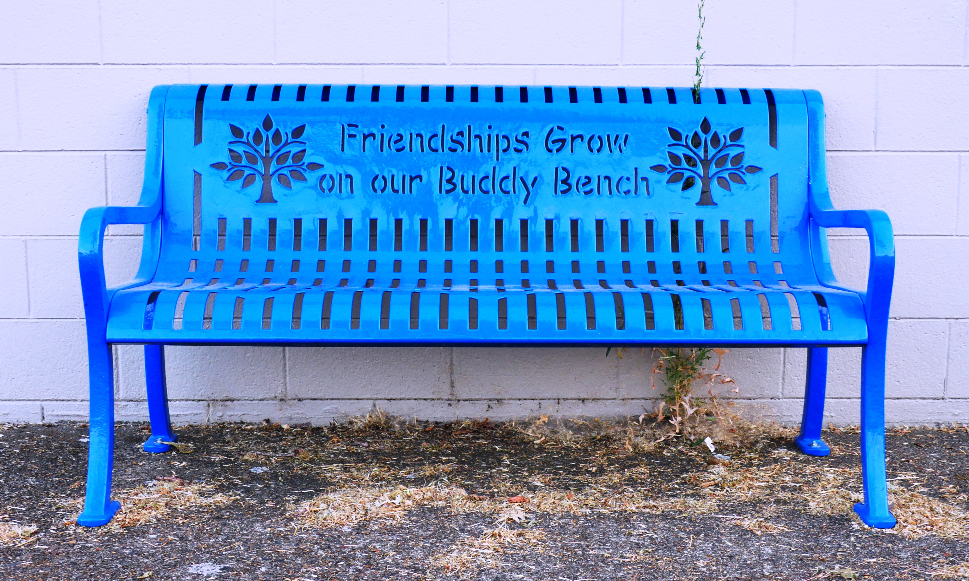 What is a Friendship Bench