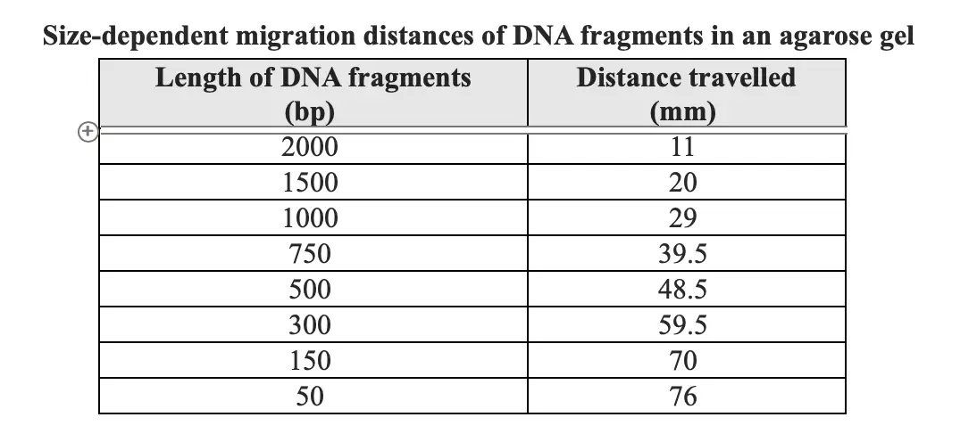 What is the Relationship of Migration Distance to Fragment Size