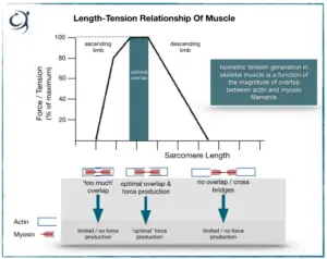 What Does Length of Relationship Mean