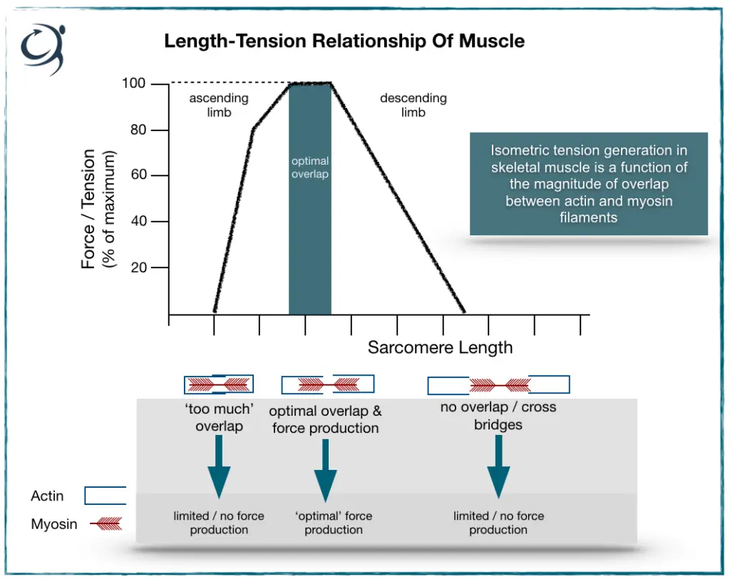 What Does Length of Relationship Mean