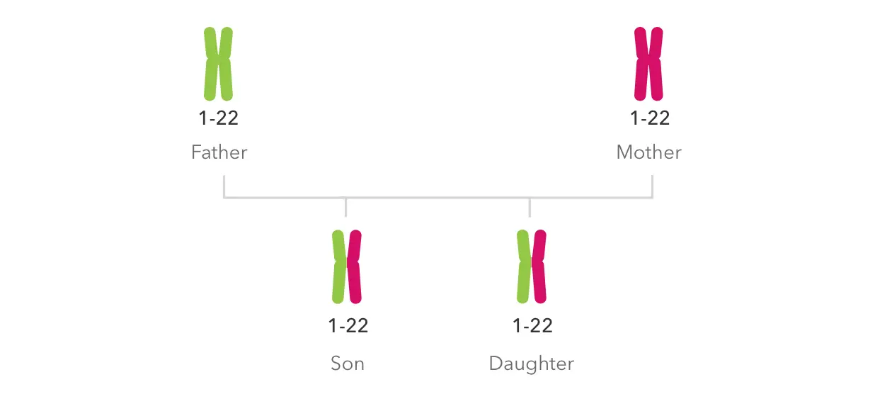 What Does Pridicting Relationships Mean Using Andme