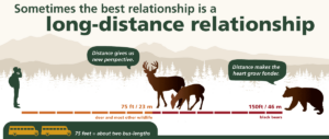 How to Keep a Safe Distance in a Relationship