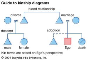 What Does Kinship Relationship Mean